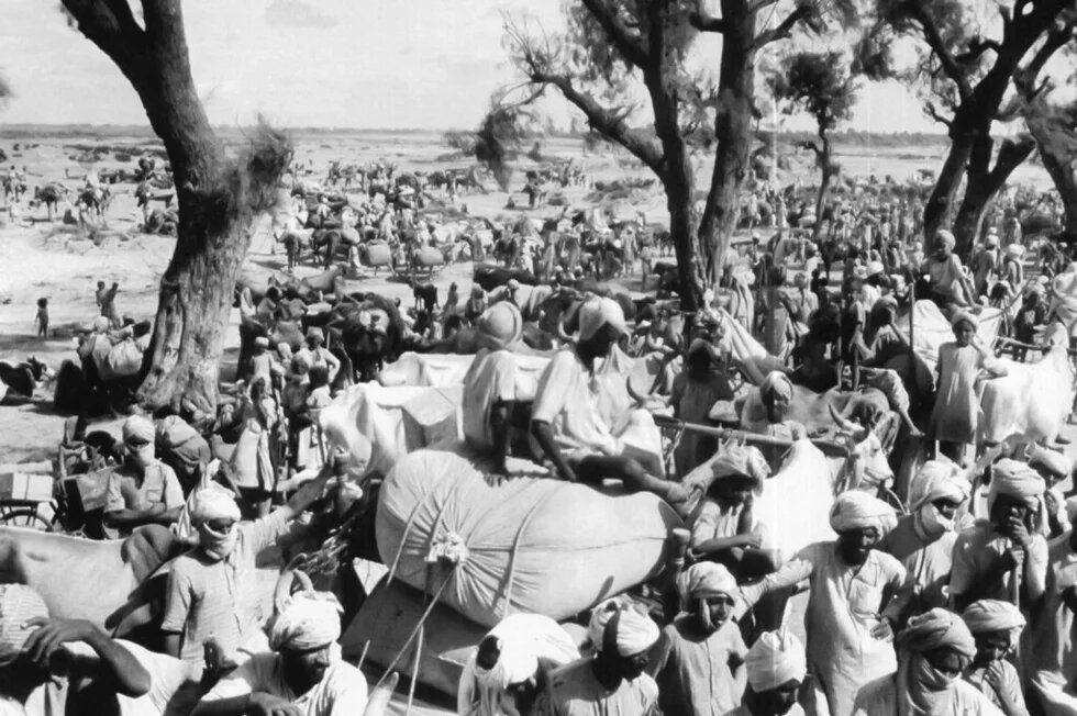 A large crowd of people with luggage, animals and carts gathered closely together under trees in the open countryside.