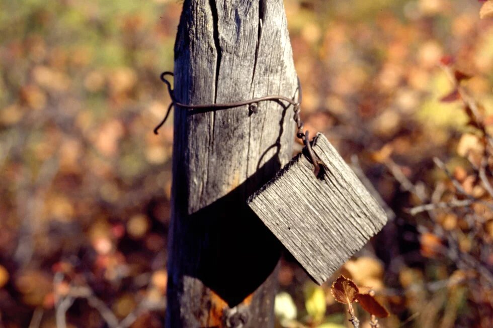 Die Ausstellung "Zone der Unmenschlichkeit" zeigt den Horror der sowjetischen Gulags bis hin zum aktuellen Krieg in der Ukraine.