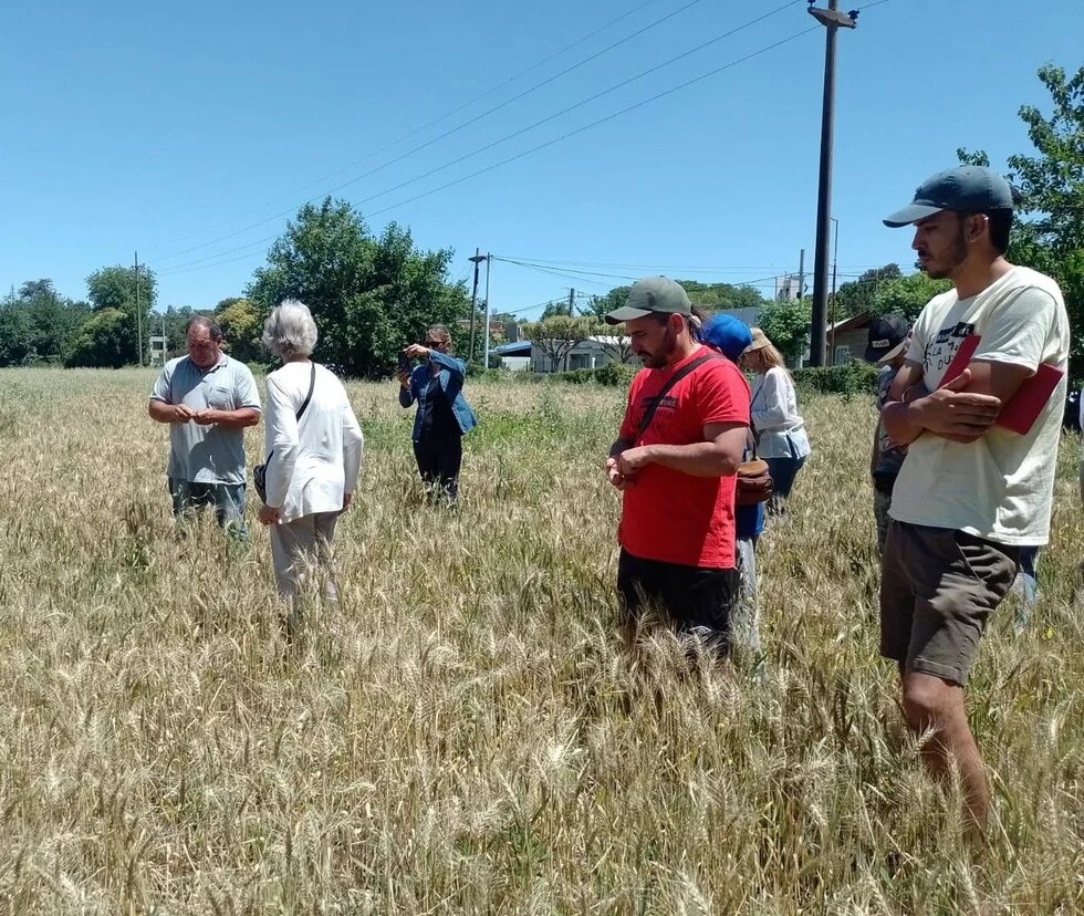 everal people stand in a grain field; one takes a photo while others listen to a man speaking.