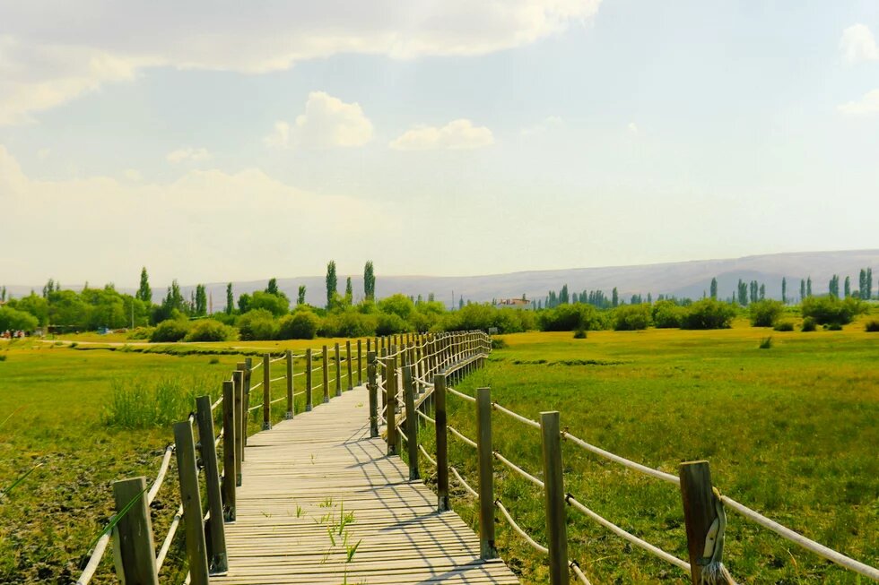 A wooden walkway with rope railings leads through a green meadow toward a line of trees and distant hills.