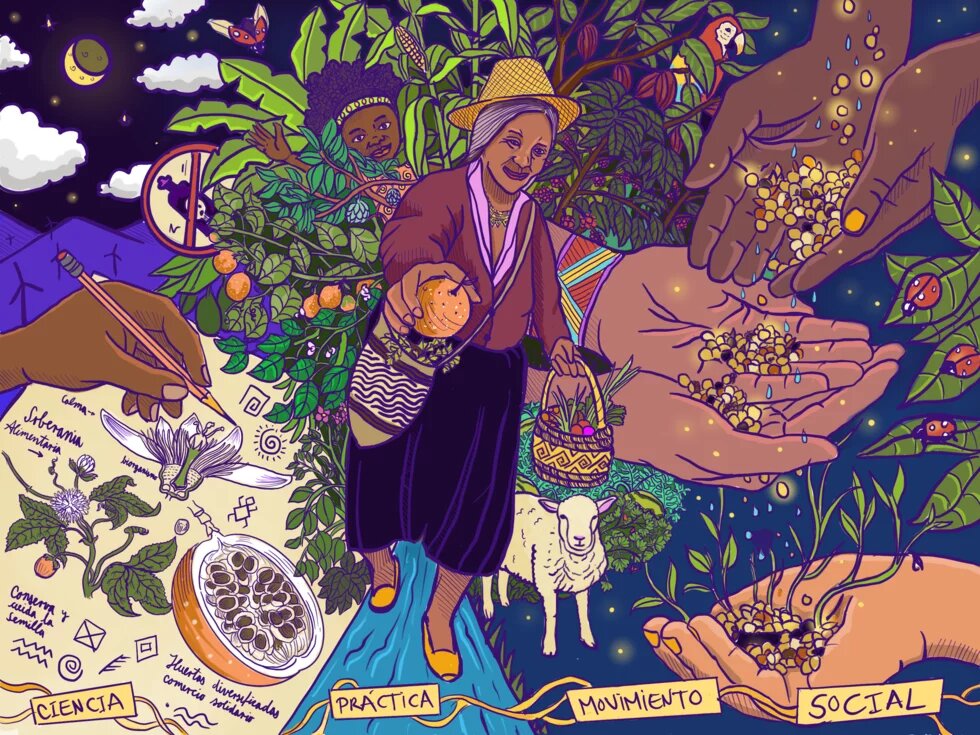 A stylized farmer hands over a piece of fruit, against a background of stylized hands holding seeds.