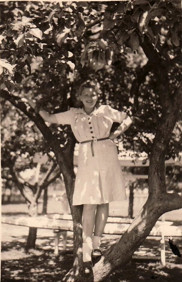 Eine Person steht lächelnd auf einem Baum, ein Arm hält sich am Ast fest, im Hintergrund Bänke und weitere Bäume.