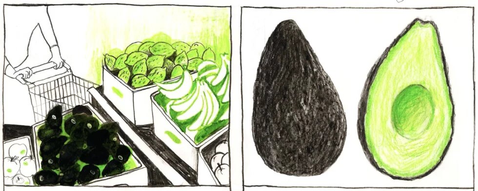 Illustration: Avocado im Supermarkt