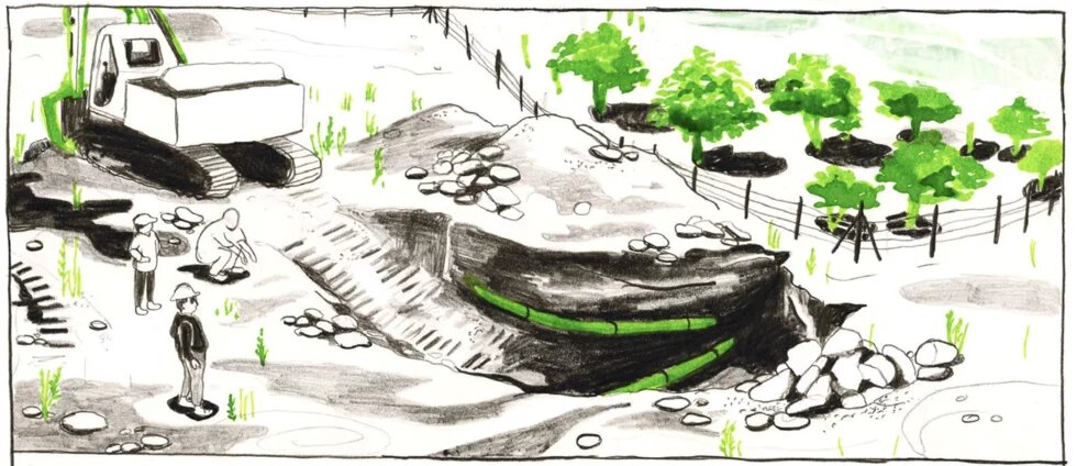 Illustration: Avocado-Plantage