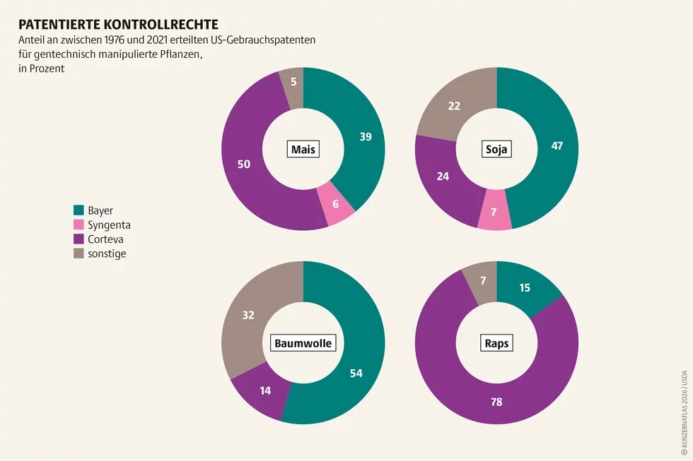 Vier Kreisdiagramme zeigen den Anteil erteilter US-Patente für gentechnisch manipulierte Pflanzen von 1976 bis 2021. Bei Mais und Raps dominiert Corteva, bei Soja und Baumwolle Bayer. Syngenta und sonstige Anbieter halten deutlich kleinere Anteile.