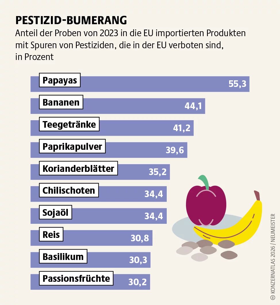 Balkendiagramm zum Anteil von 2023 in die EU importierten Produkten mit Spuren verbotener Pestizide. Am häufigsten betroffen sind Papayas (55 %), Bananen (44 %) und Teegetränke (41 %), gefolgt von Gewürzen, Sojaöl, Reis und Kräutern mit rund 30 bis 40 Prozent.