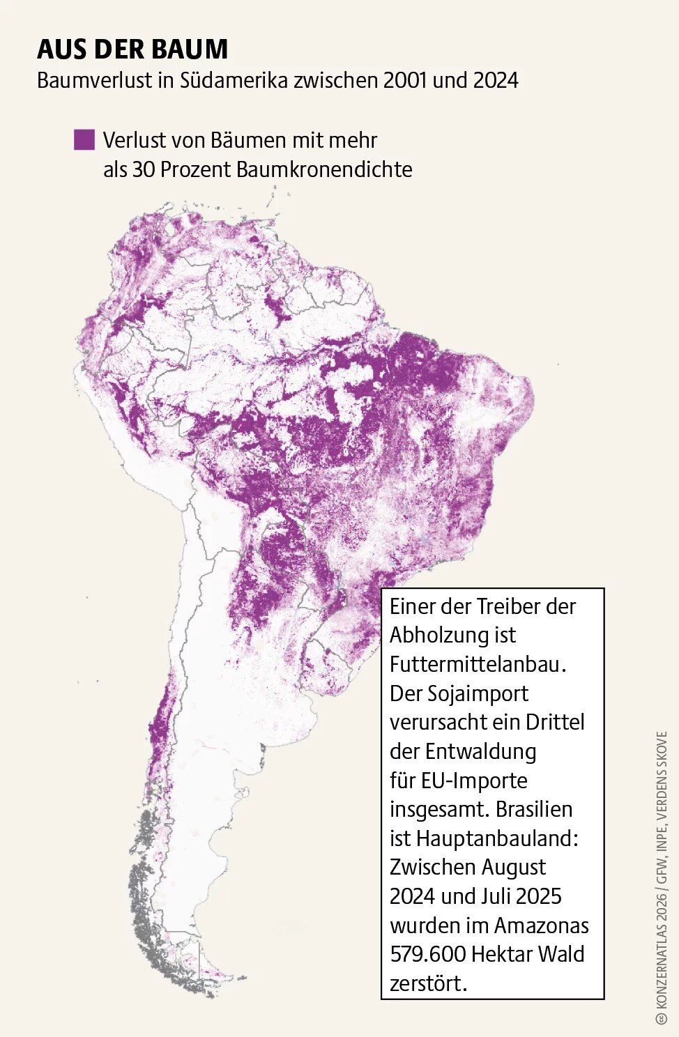 Karte von Südamerika mit markierten Flächen von Baumverlust zwischen 2001 und 2024. Besonders stark betroffen sind der Amazonasraum und große Teile Brasiliens. Ein Hinweis erläutert, dass Futtermittelanbau, vor allem Soja für EU-Importe, ein zentraler Treiber der Entwaldung ist.