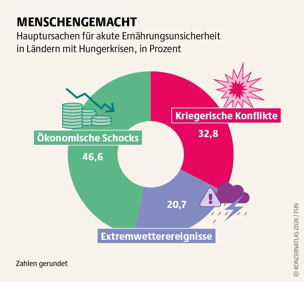 Ringdiagramm zu den Hauptursachen akuter Ernährungsunsicherheit in Ländern mit Hungerkrisen. Größter Faktor sind ökonomische Schocks mit rund 47 Prozent, gefolgt von kriegerischen Konflikten mit etwa 33 Prozent und Extremwetterereignissen mit rund 21 Prozent.