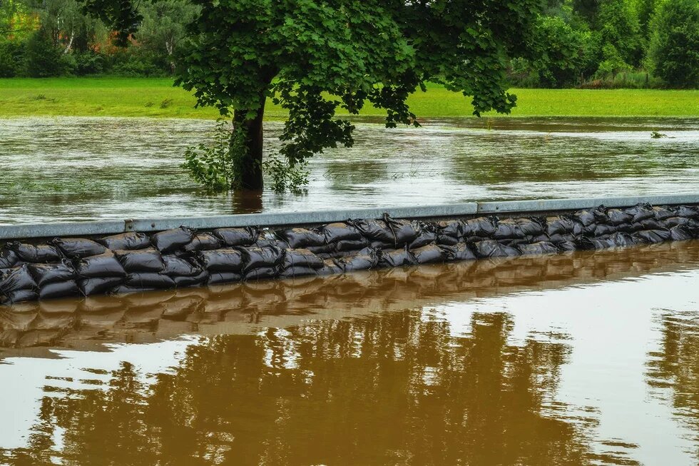 Ein Sandsackwall trennt braunes Hochwasser von überfluteter Wiese mit Baum im Hintergrund.