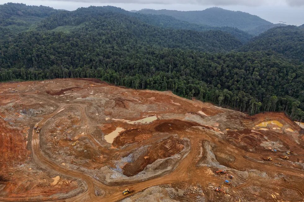 Excavators gather soil containing nickel ore at a mining site, hills with tropical forest in the background.