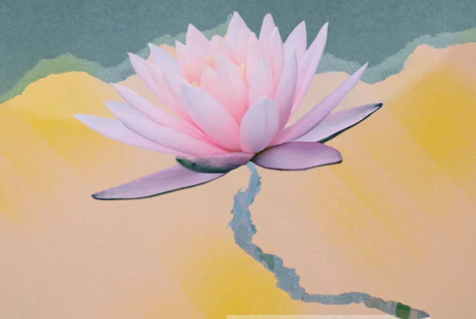 Collage: Blühende Seerose in Rosa, darunter Sandfarbener Untergrund, oben blaue Fläche, in der Mitte eine blaue Linie (ähnlich einer Landkarte Ägyptens).