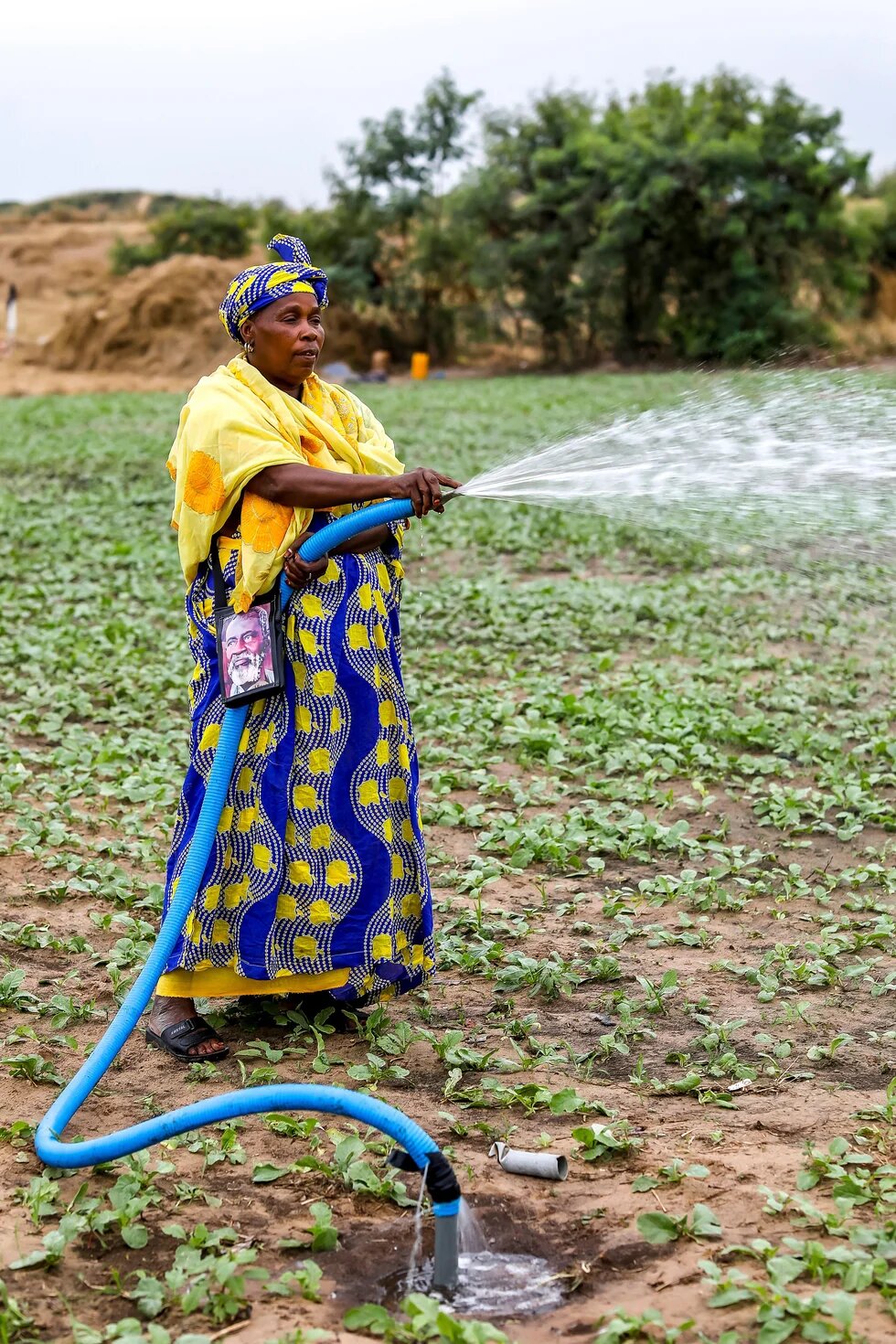 Eine Frau bewässert ihr Feld im Dorf Notto, Senegal.