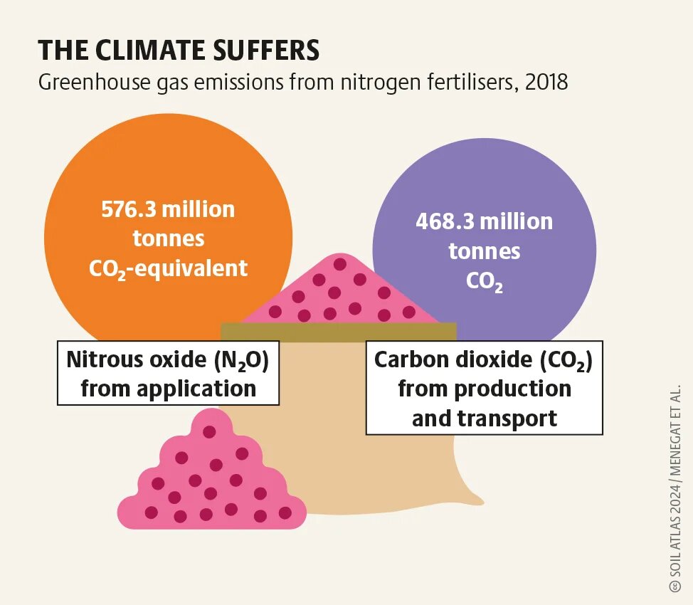 Greenhouse gas emissions from nitrogen fertilisers: nitrous oxide from use and CO₂ from production and transport (Bodenatlas graphic)