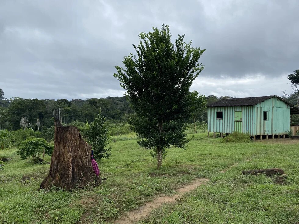 Home of a rubber familiy in the resex