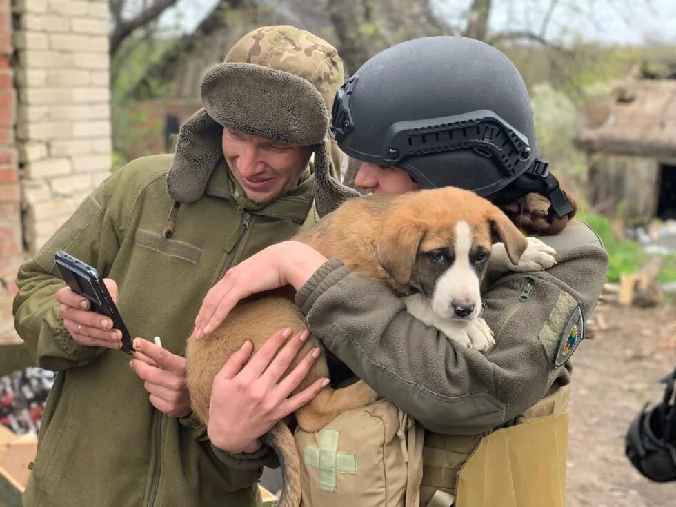 Das Foto zeit zwei Personen in militärischer Kleidung, eine von ihnen trägt einen Hund auf dem Arm.