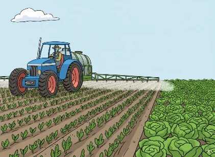 Traktor sprüht ein Feld mit jungen Pflanzen. Rechts wächst ein Salatfeld, darüber wolkiger Himmel.