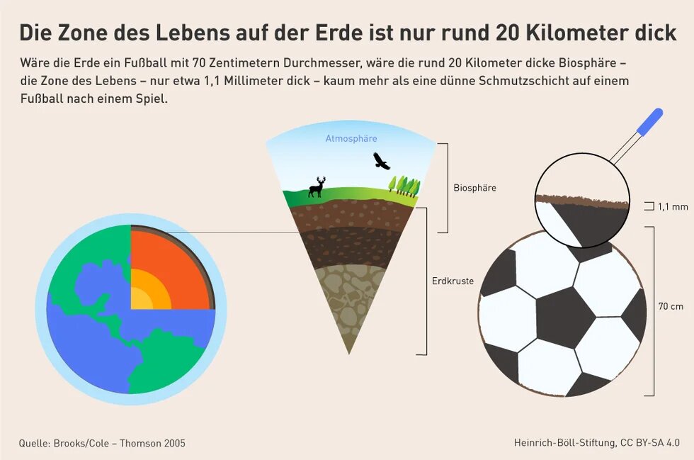 Grafik zur nur 20 km dicken Biosphäre der Erde; ein Fußballvergleich veranschaulicht sie als 1,1 mm dünne Schicht.