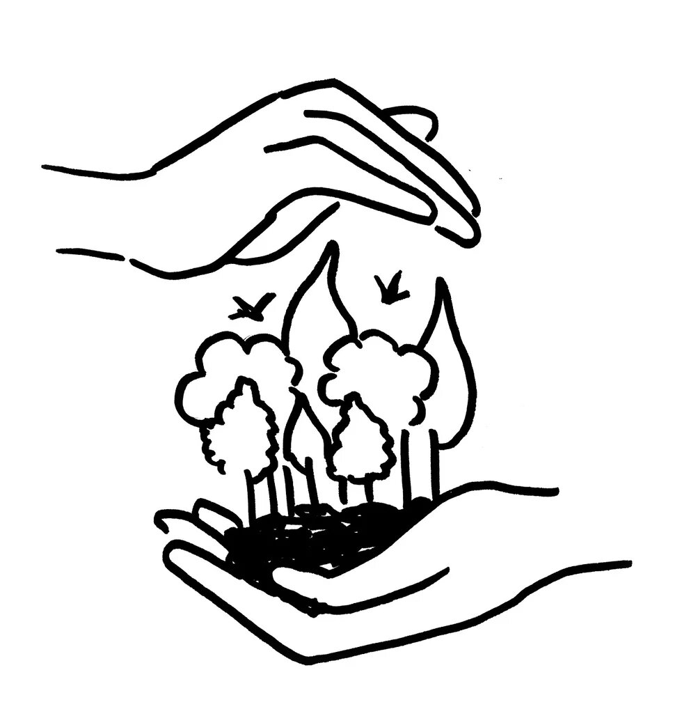 Illustration: Eine Hand hält einen Wald und die andere schützt ihn von oben