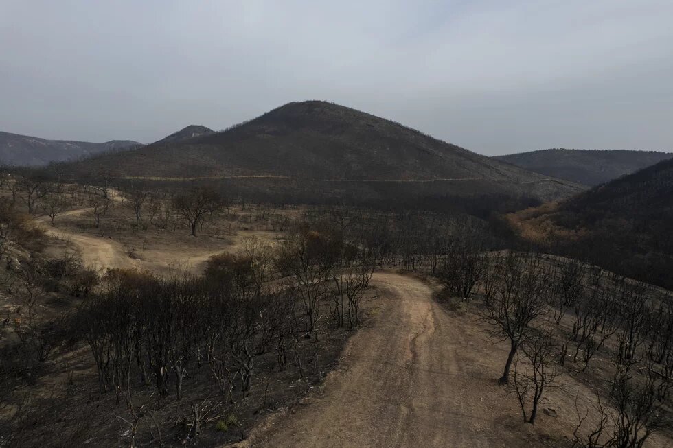 Eine karge Landschaft mit kahlen, verbrannten Bäumen und braunen Hügeln, die von einem staubigen Pfad durchzogen wird.