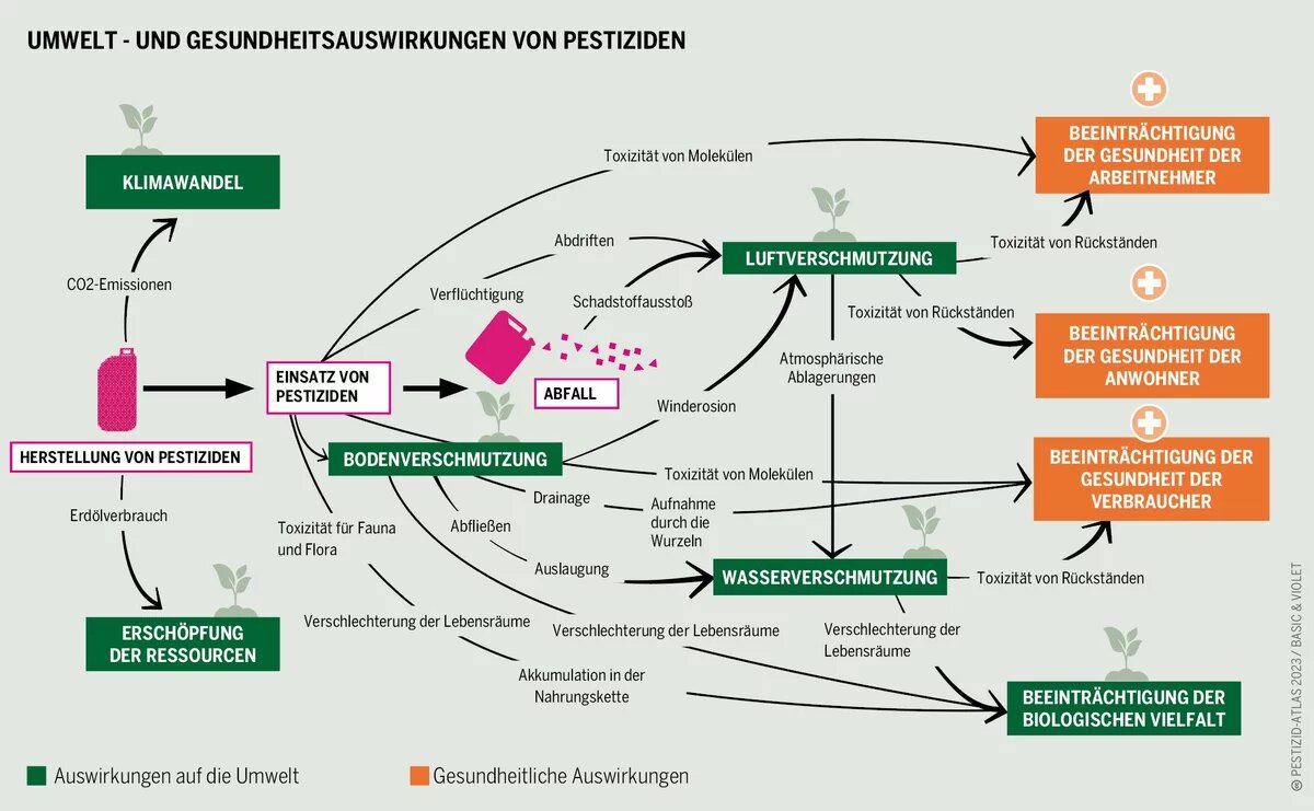 Diagramm zeigt den Zusammenhang zwischen Pestizideinsatz, Umweltverschmutzung (Luft, Boden, Wasser) und gesundheitlichen Auswirkungen auf Arbeiterinnen, Anwohnerinnen, Verbraucher*innen.