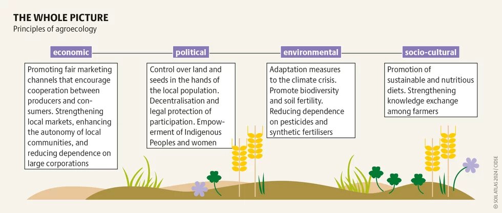soilatlas2024_grafik_41a