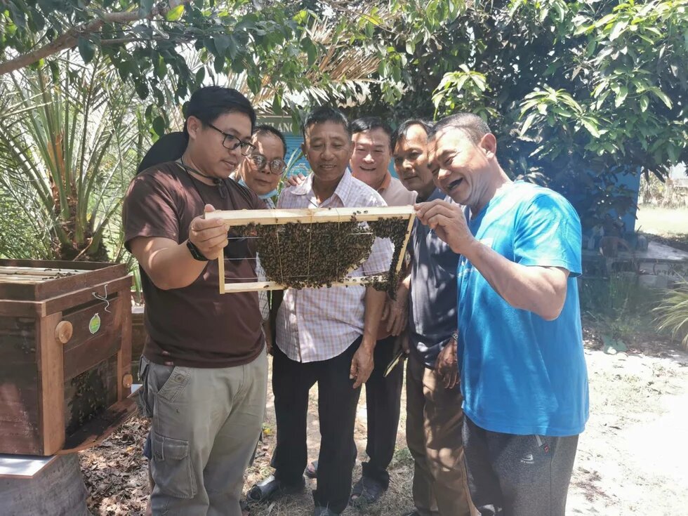 Photo: Several people observe a bee-covered honeycomb outdoors.