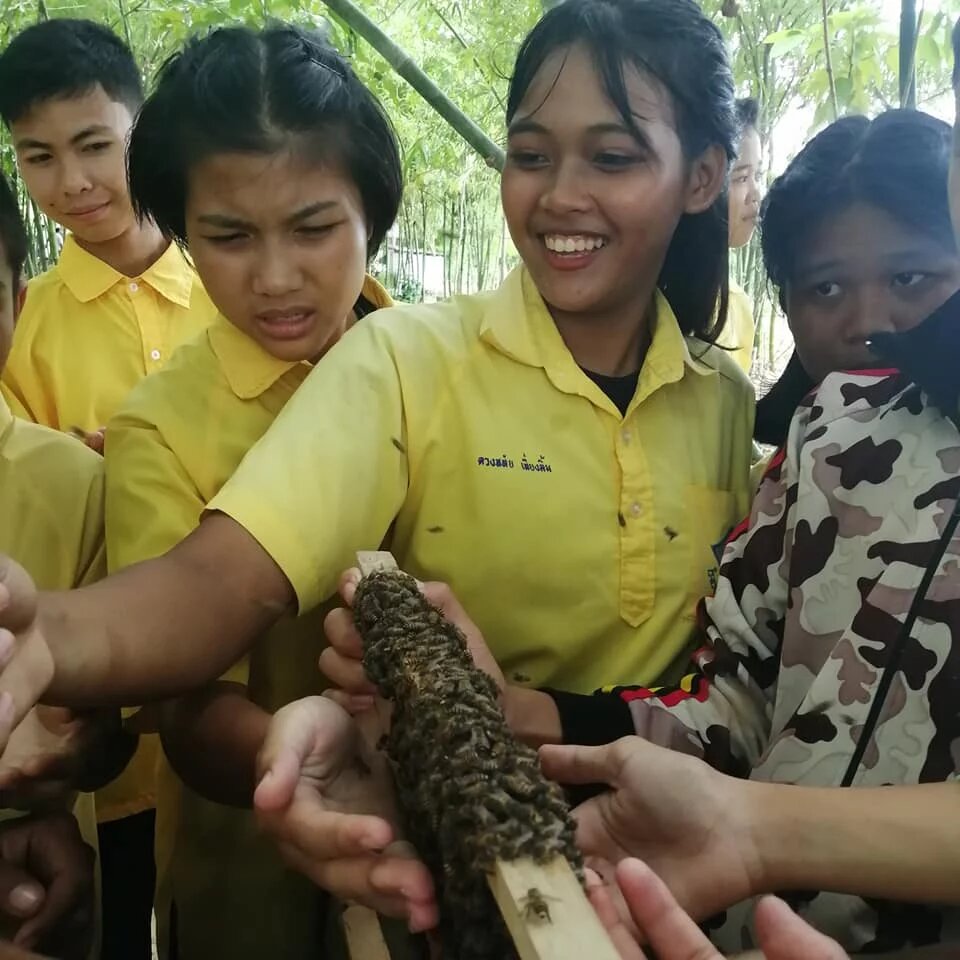 Photo: Youth in yellow shirts examine a honeycomb with bees.