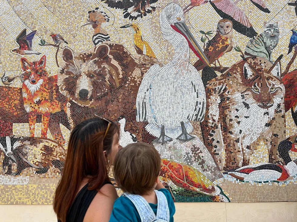 Albania is Biodiversity Mosaic by Kleidi Eski, Skanderbeg Square, Tirana 2026