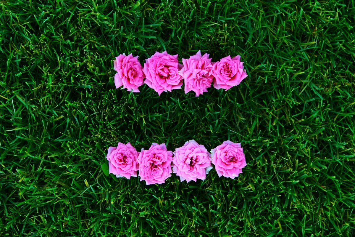 equal sign