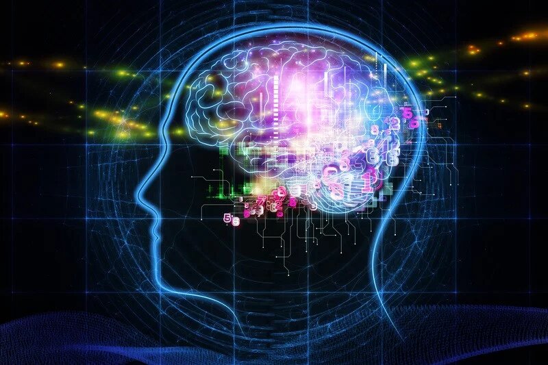 Digital Brain