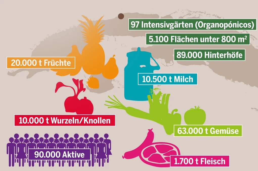 Versorgung von Havanna mit örtlichen Frischprodukten