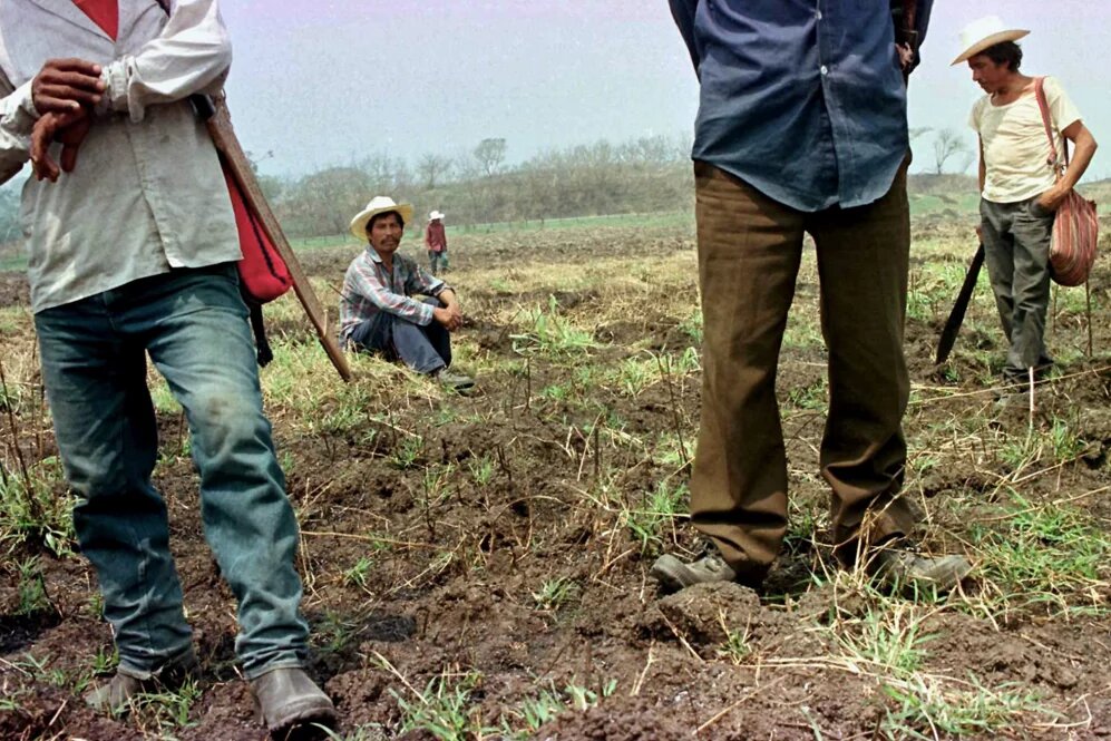 Agriculture Mexico