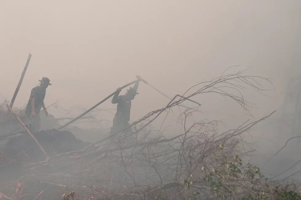 Waldbrand in Indonesien