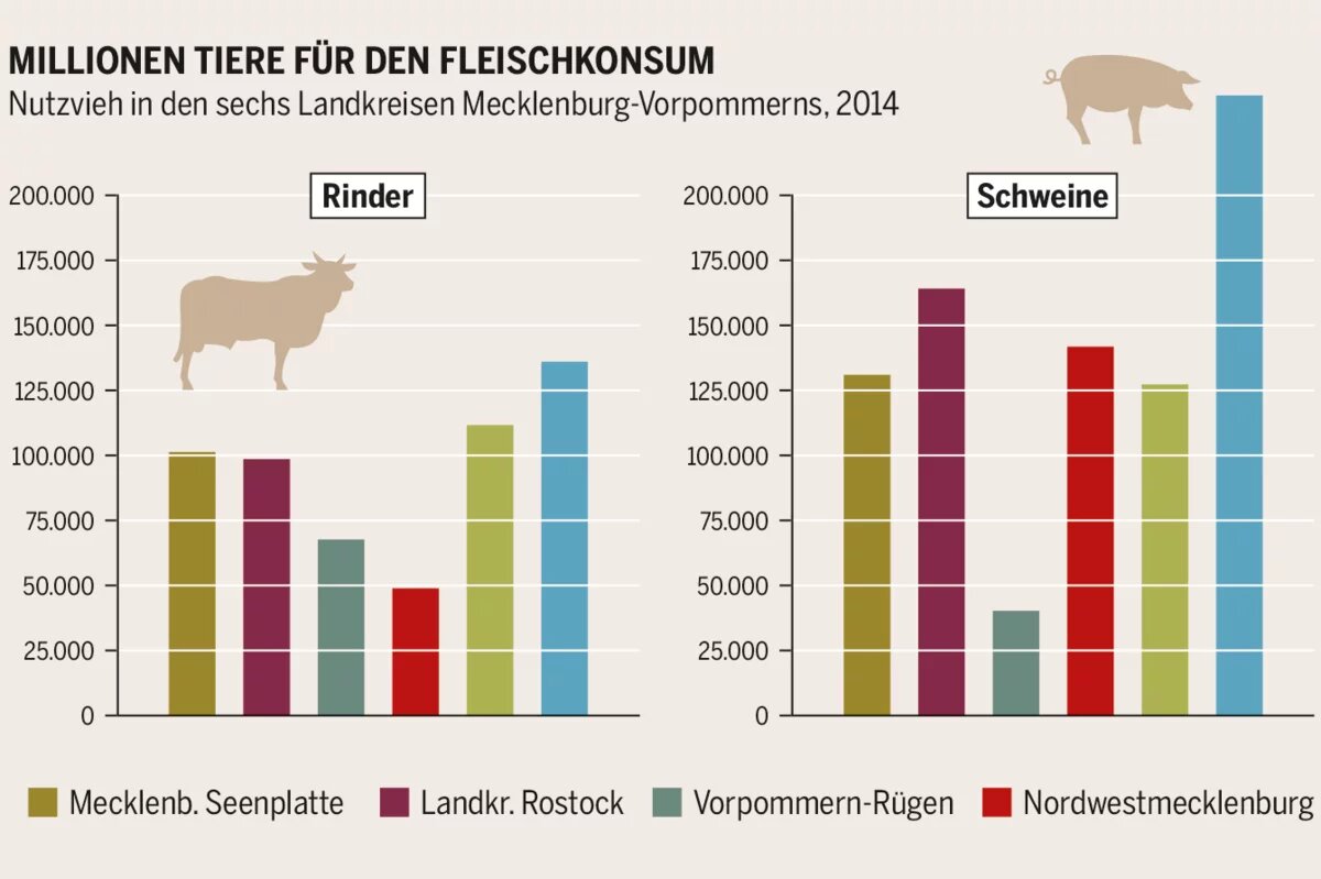 Nutzvieh Mecklenburg-Vorpommern