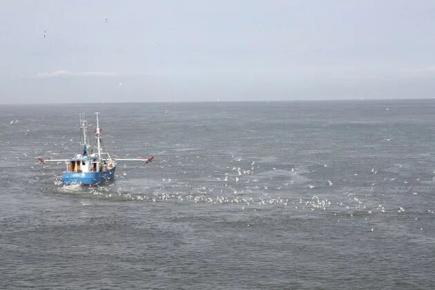 Fishing Boat
