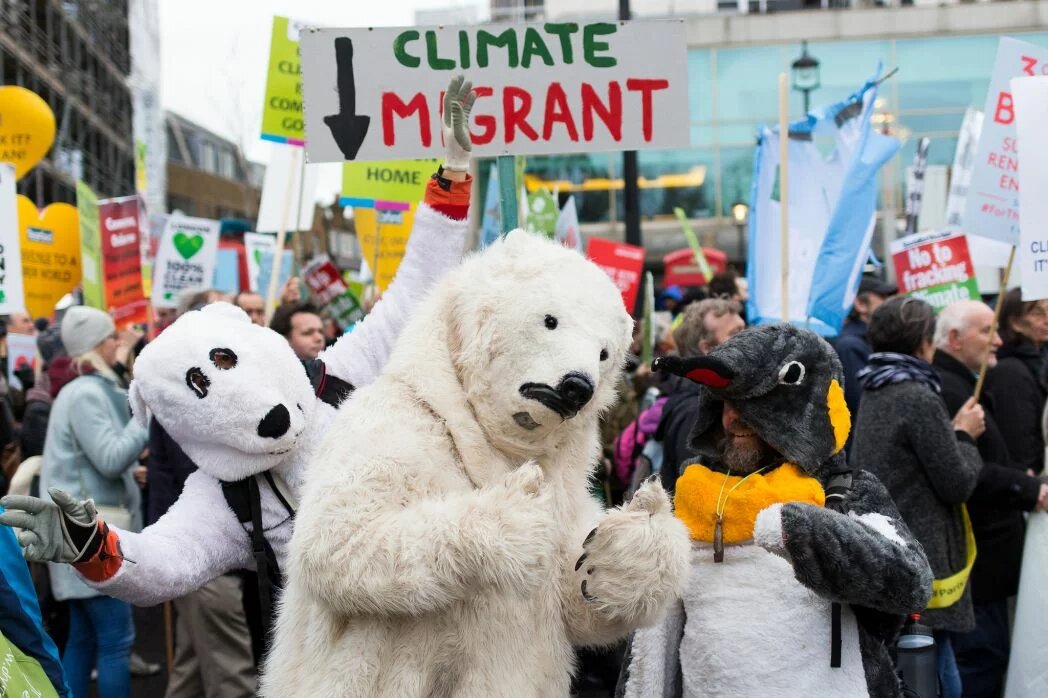 Climate change march Demonstrant/innen verkleidet als Hund, Eisbär und Pinguin