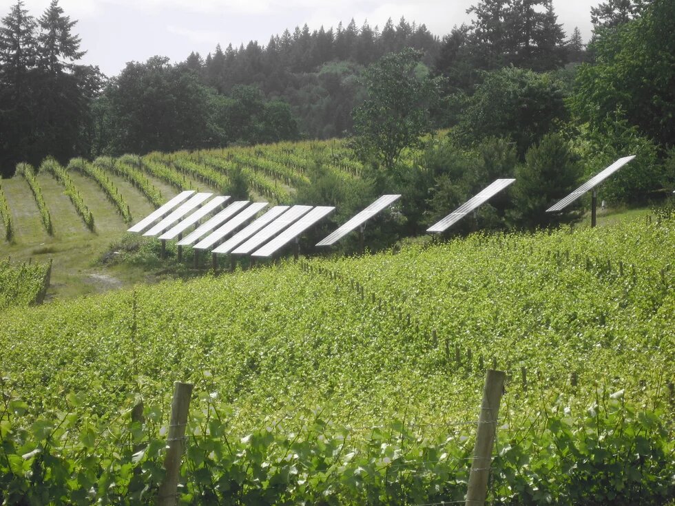 Green New Deal: Grüne Landwirtschaft mit Sonnenkraft 
