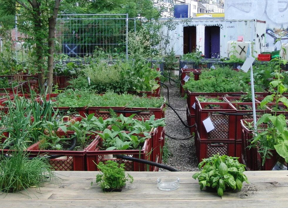 The princess garden in Berlin as a example for Urban Farming. The princess garden in Berlin is more than an urban farming project, its pretty much a think tank for urban gardening