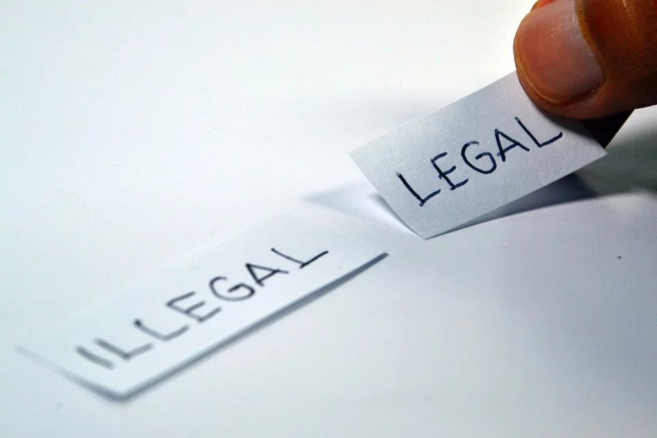 Illegal - legal: Eckpunkte für ein neues Einwanderungsgesetz