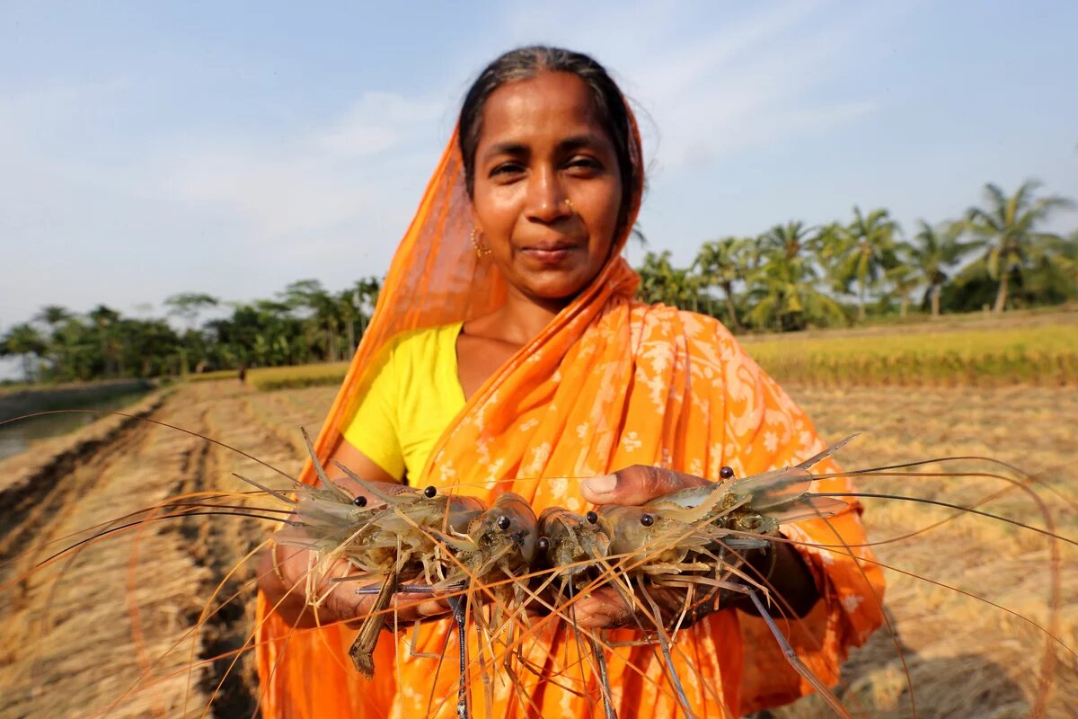 Woman showing prawns caught from her hatchery in Khulna, Bangladesh. Photo by M. Yousuf Tushar, 2014 Frau zeigt Garnelen, die in ihrer Farm in Khulna, Bangladesh, gefangen wurden