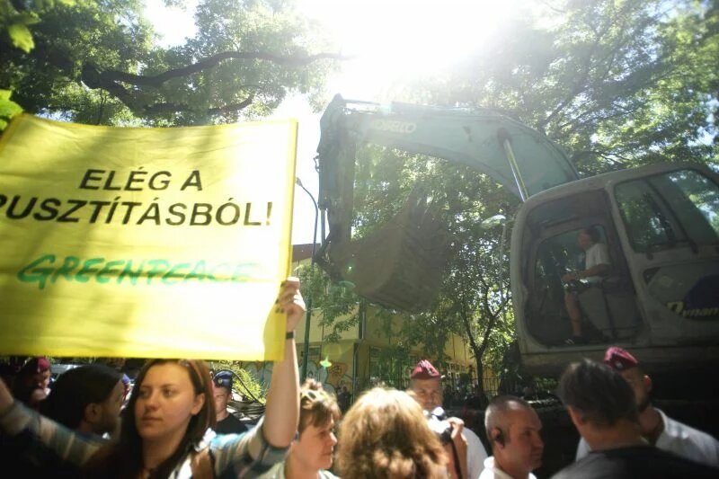 A group of protester with a banner Greenpeace in Hungary