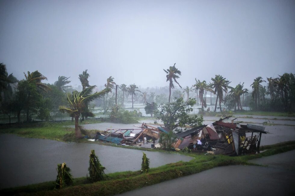 Typhoon Rammasun (Glenda) in the Philippines The typhoon Rammasun in the Philippines