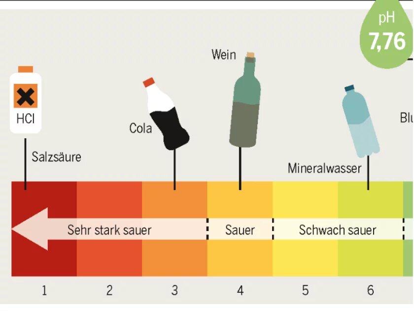 Aus dem Meeresatlas 2017: Die Zukunft wird sauer Infografik aus dem Meeresatlas 2017: Die Zukunft wird sauer