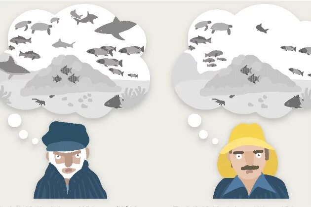 From the Ocean Atlas – Living Memory – Old Fishermen Tell Their Tales Infographic from the Ocean Atlas – Living Memory – Old Fishermen Tell Their Tales