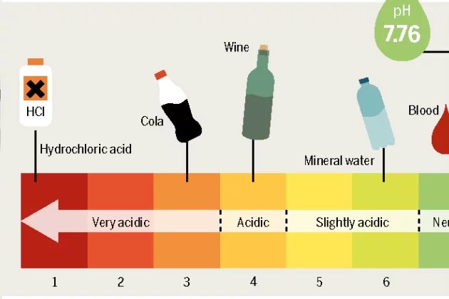 From the Ocean Atlas – pH Scale: What is Acidic, What is Alkaline? Infographic from the Ocean Atlas – pH Scale: What is Acidic, What is Alkaline?