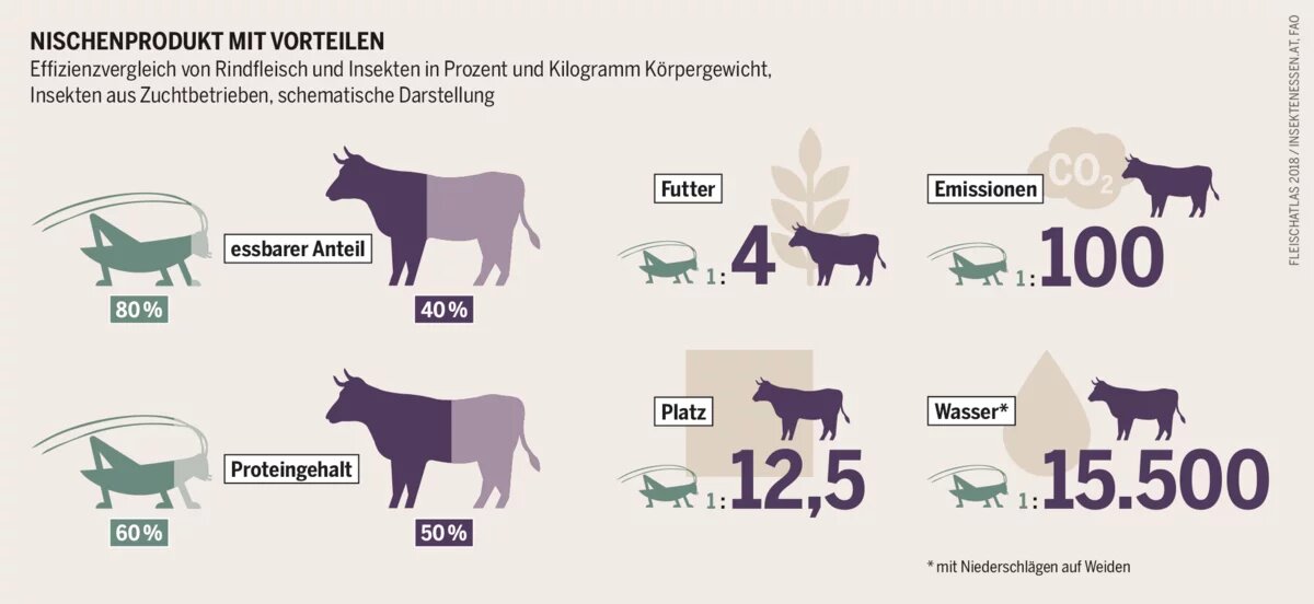 Effizienzvergleich von Rindfleisch und Insekten im Fleischatlas 2018