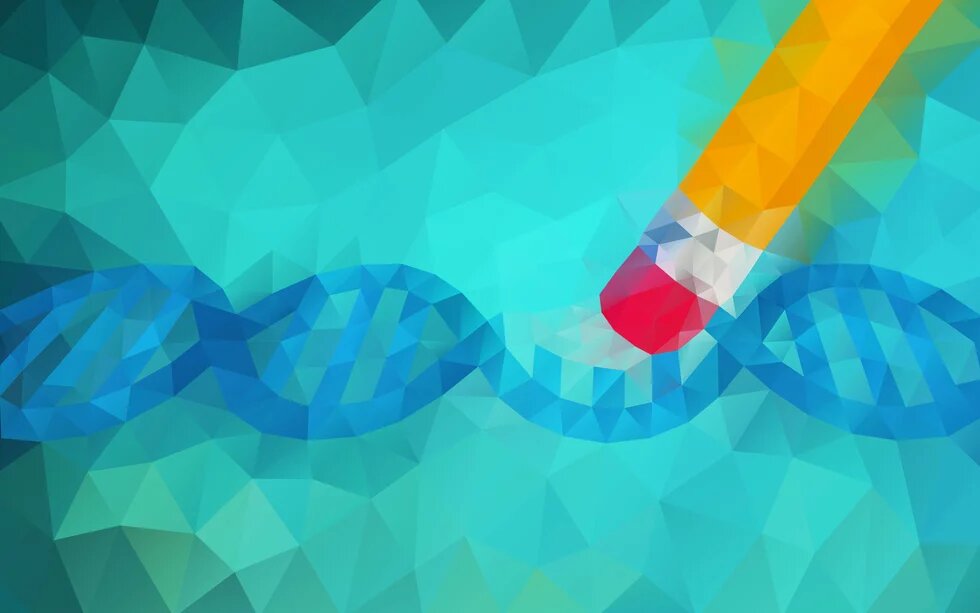 Genome Editing Gentechnik