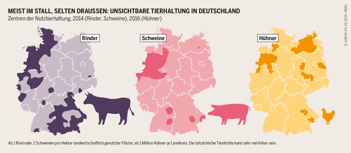 Agraratlas 2019 - Infografik - Zentren der Nutztierhaltung Agraratlas 2019 - Infografik - Zentren der Nutztierhaltung