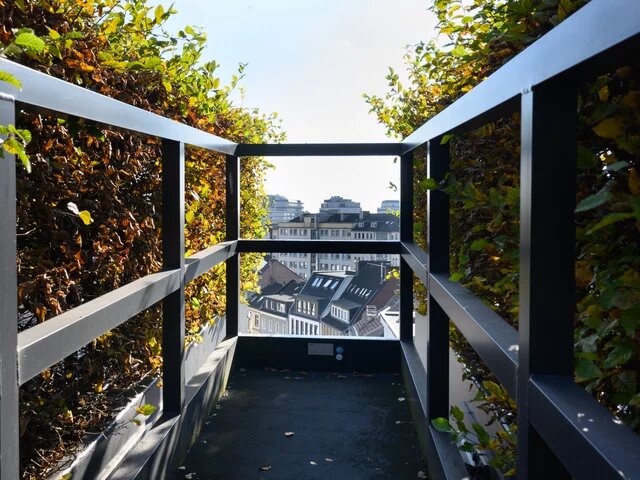 Schmaler Balkon mit schwarzen Geländern, umgeben von dichtem Laub. Im Hintergrund Stadtansicht mit Dächern und Gebäuden.