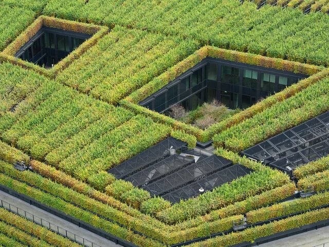 Nahaufnahme der begrünten Terrassen eines Gebäudes mit mehreren offenen Innenhöfen und dichter Bepflanzung.